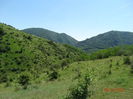 DSC04736