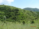 DSC04735