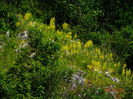 DSC04561