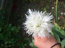 CIMG0076