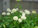 CIMG0074