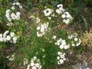 CIMG0073