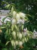 CIMG0064