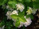 CIMG0039