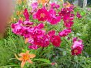IMG_20140621_144304