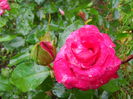 IMG_20140621_145238