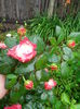 IMG_20140621_145829