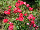 IMG_20140622_142909