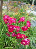 IMG_20140622_143315