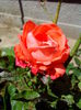 IMG_20140622_144213