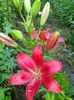 IMG_20140621_145504