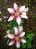 IMG_20140621_145515