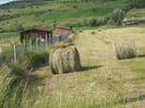in natura 001