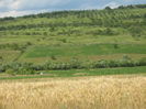 in natura 004