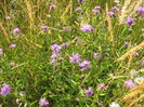 in natura 007
