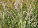 in natura 008