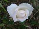 2013-09-30 09.33.06