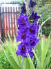 DSCN0042