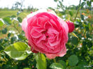 DSCN0072