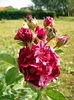 DSCN0075
