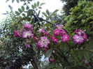 DSC08334