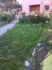 IMG_20140623_212735