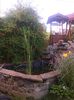 IMG_20140623_212853