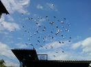 20140622_173802