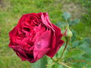 DSCN0353