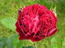 DSCN0354