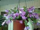 20140624_160423