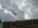 Imag 011034
