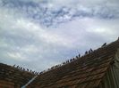 Imag 011059