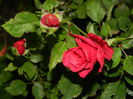 DSCN8730