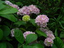 DSCN8760