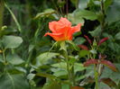 DSCN8770