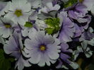DSCN8861