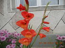 DSCN3168