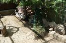 DSC07258