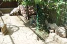 DSC07259