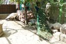 DSC07260