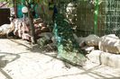 DSC07261