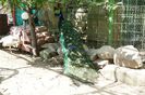 DSC07264