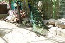 DSC07265