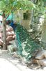 DSC07272