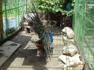 DSC09440