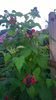 WP_20140624_002