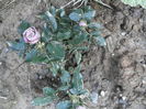 IMG_20140624_154354