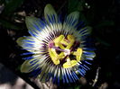 IMG_20140619_131600