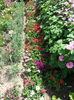 20140625_115753